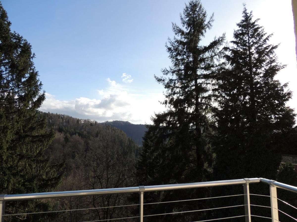 Gîte ESPERANZA SPA et SAUNA Haselbourg Eksteriør bilde